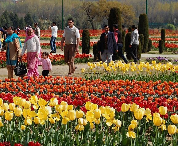 جموں و کشمیر: ایشیا کا سب سے بڑا ’باغِ گل لالہ‘ سیاحوں کے لیے کھولا گیا