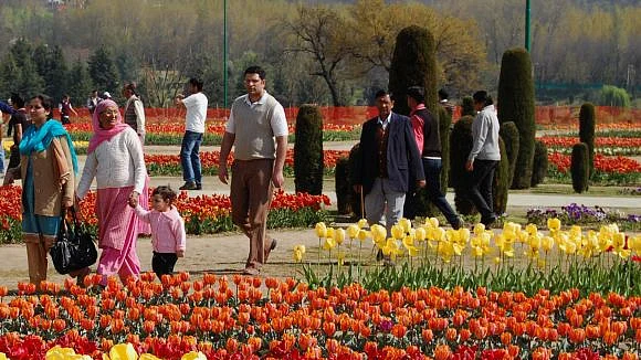 تصویر سوشل میڈیا