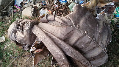 تصویر سوشل میڈیا