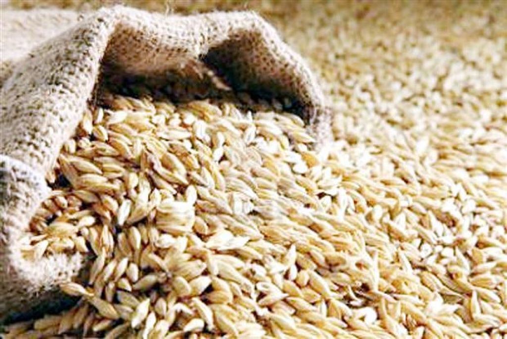 جَو کی قیمت پر بھی مودی حکومت کا وعدہ ’جملہ‘ ثابت ہوا