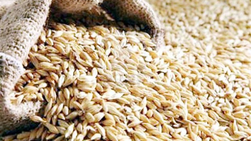 تصویر سوشل میڈیا