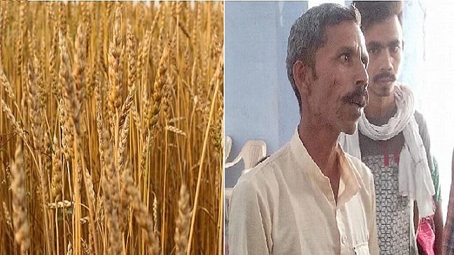 تصویر سوشل میڈیا