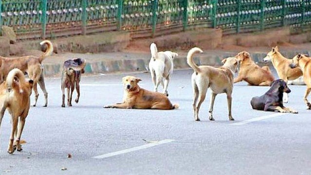 تصویر سوشل میڈیا