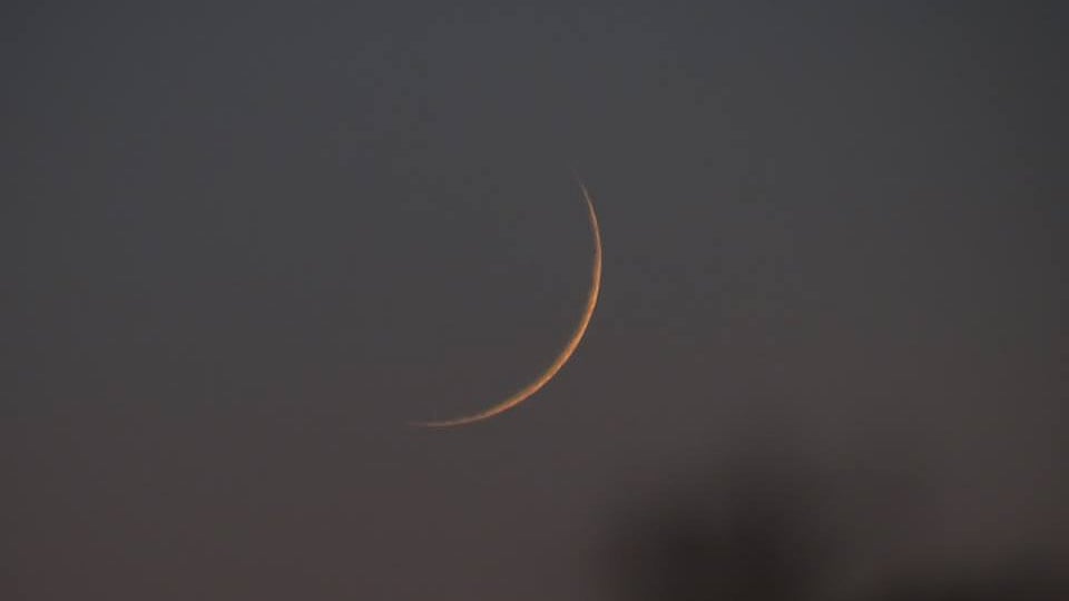 تصویر سوشل میڈیا