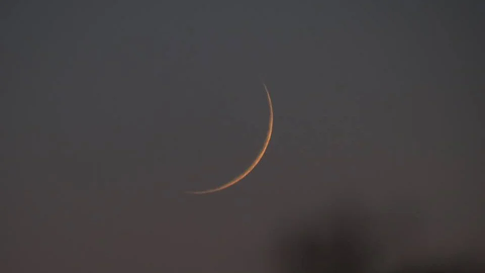 تصویر سوشل میڈیا