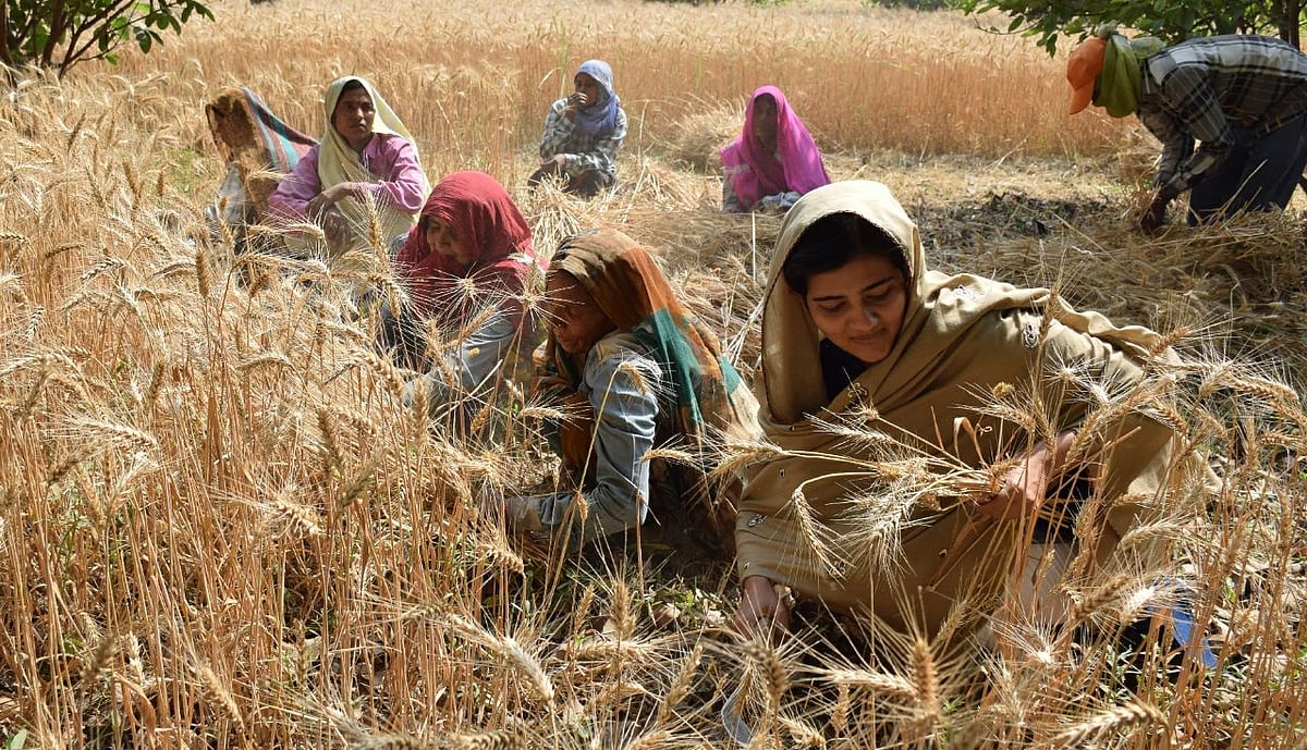 آسان نہیں تھا کسان کی بیٹی عِلما افروز کے آئی پی ایس بننے کا سفر