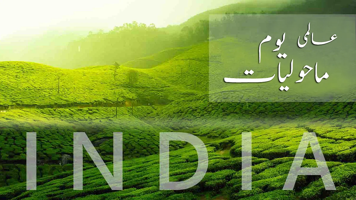 قومی آواز گرافکس