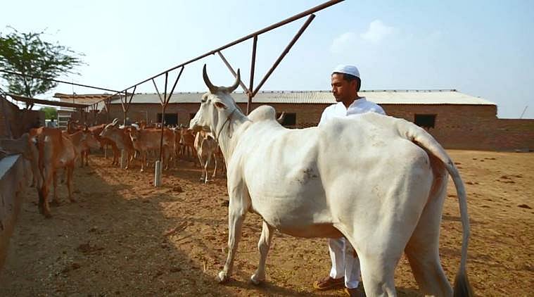 میوات کے لوگوں سے حب الوطنی کا ثبوت مانگنے کا حق کس کو ہے؟