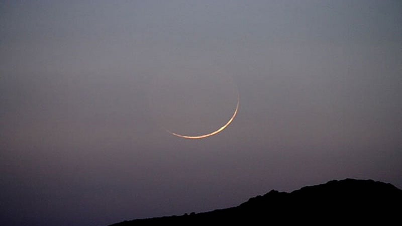 تصویر سوشل میڈیا