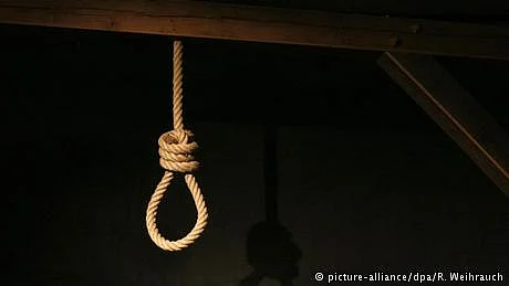 تصویر ڈی ڈبلیو ڈی