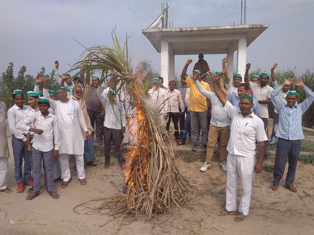 یوگی راج میں کسان بے حال، گنا کسانوں کی تقریباً 84 ہزار کروڑ ادائیگی بقایہ
