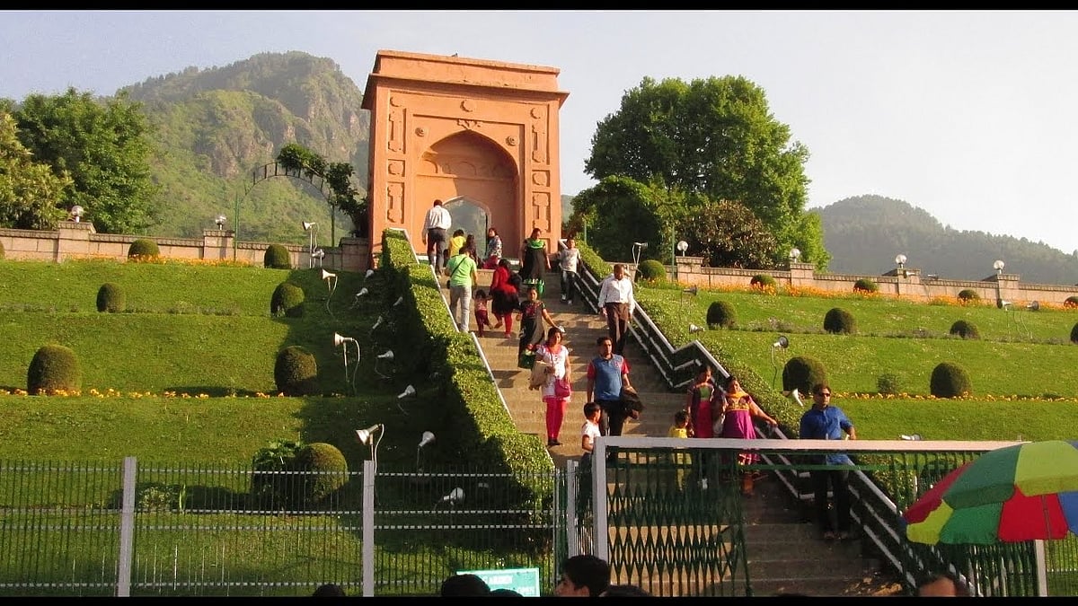 تصویر سوشل میڈیا