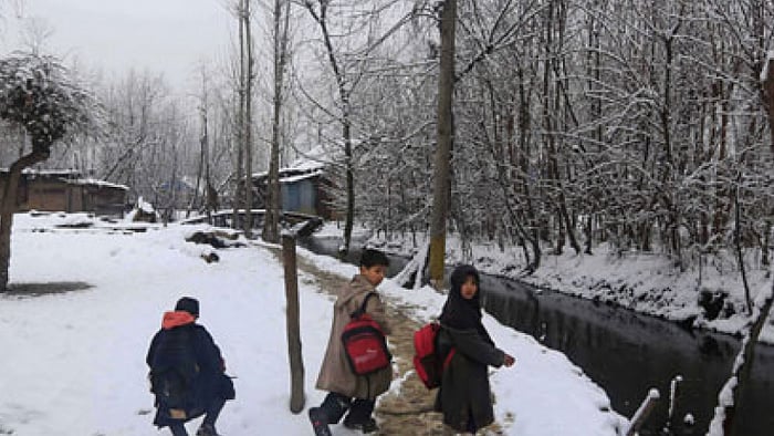 تصویر سوشل میڈیا