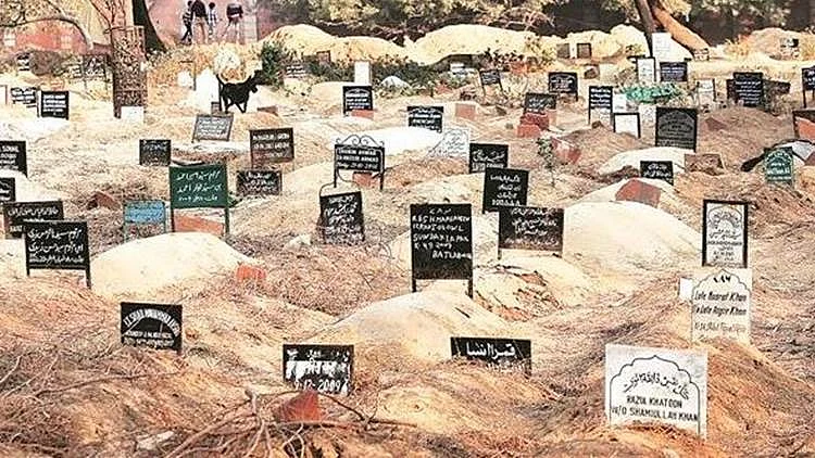 تصویر سوشل میڈیا