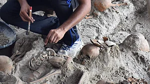 سری لنکا میں خانہ جنگی کے بعد اجتماعی قبر سے 278 انسانی باقیات برآمد