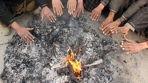 تصویر سوشل میڈیا