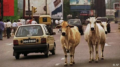 تصویر سوشل میڈیا