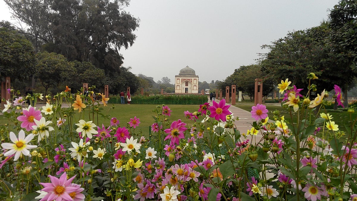 تصویر محمد تسلیم