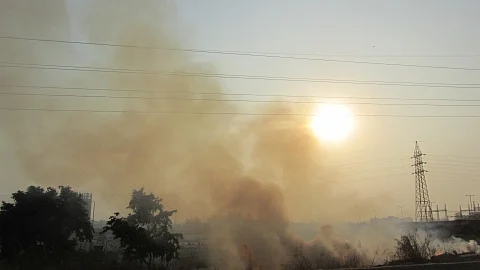 تصویر سوشل میڈیا