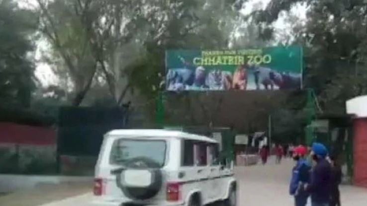 تصویر سوشل میڈیا