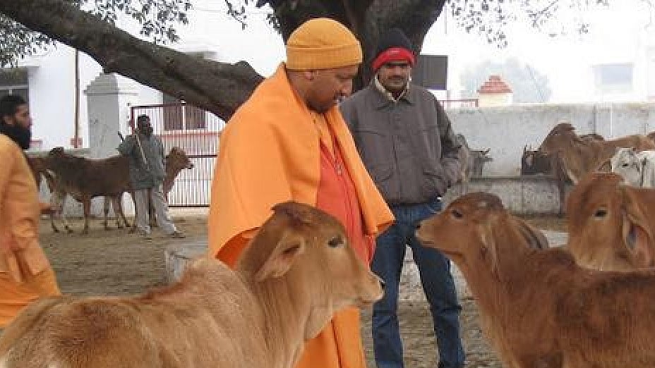 تصویر سوشل میڈیا
