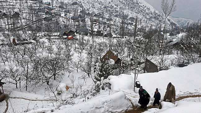 تصویر سوشل میڈیا