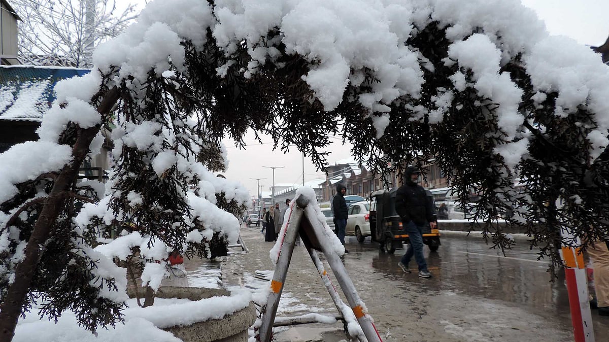 تصویر یو این آئی