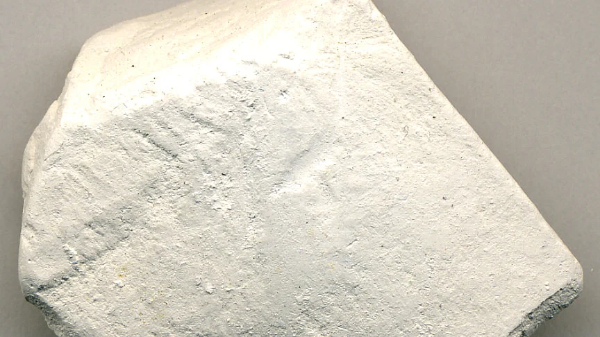تصویر سوشل میڈیا