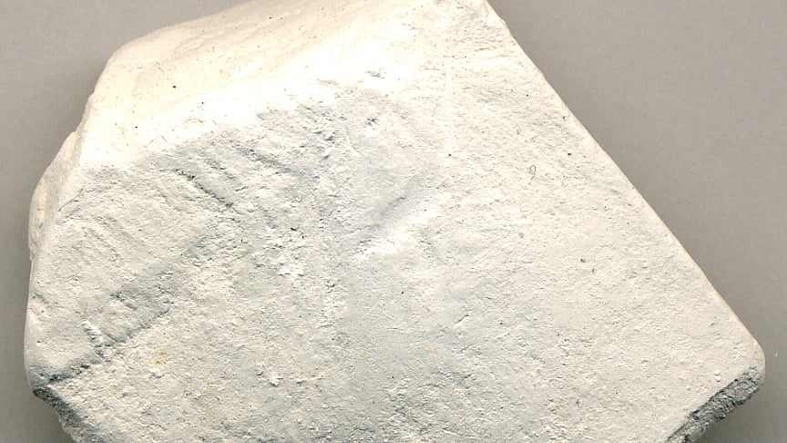 تصویر سوشل میڈیا