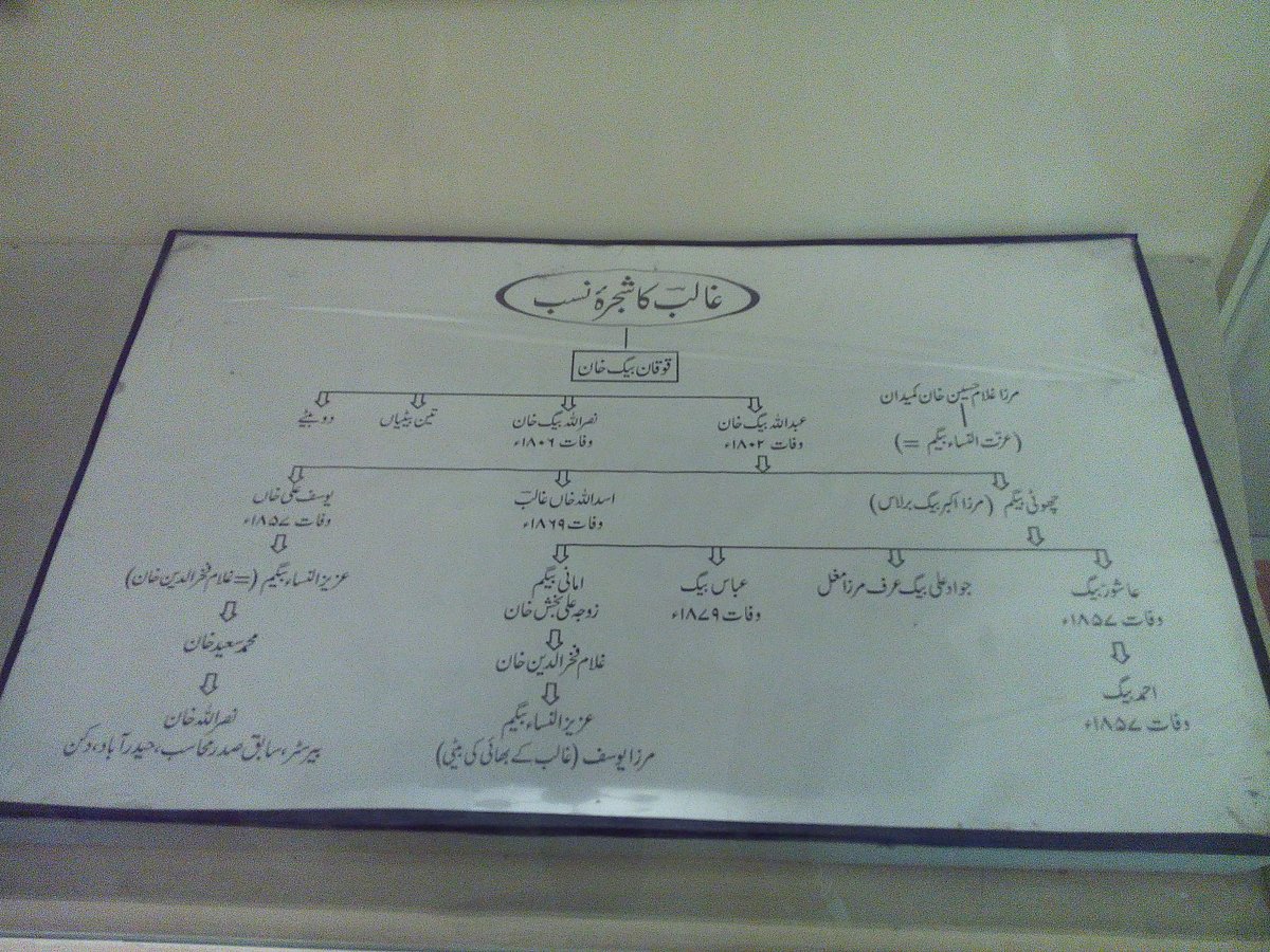 تصویر محمد تسلیم