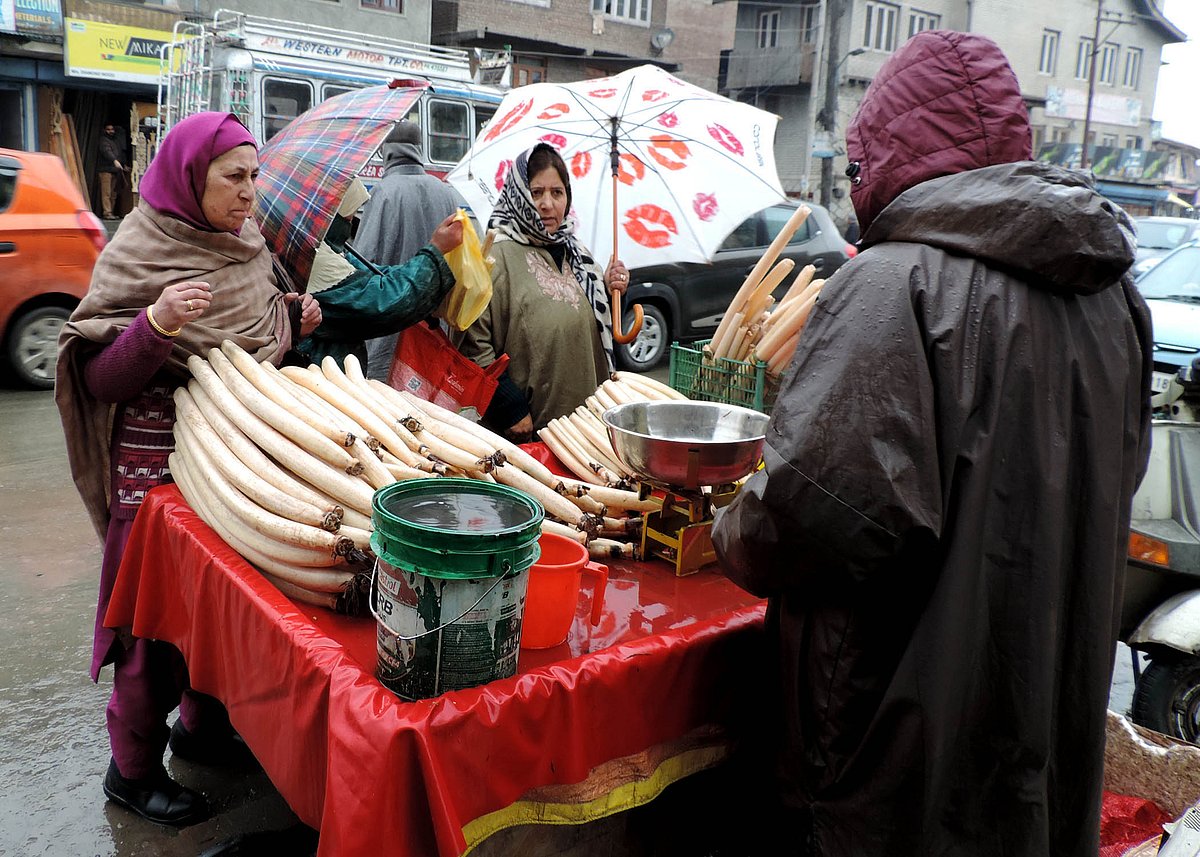 وادی کشمیر میں تازہ برف باری کا سلسلہ، زمینی اور فضائی روابط منقطع