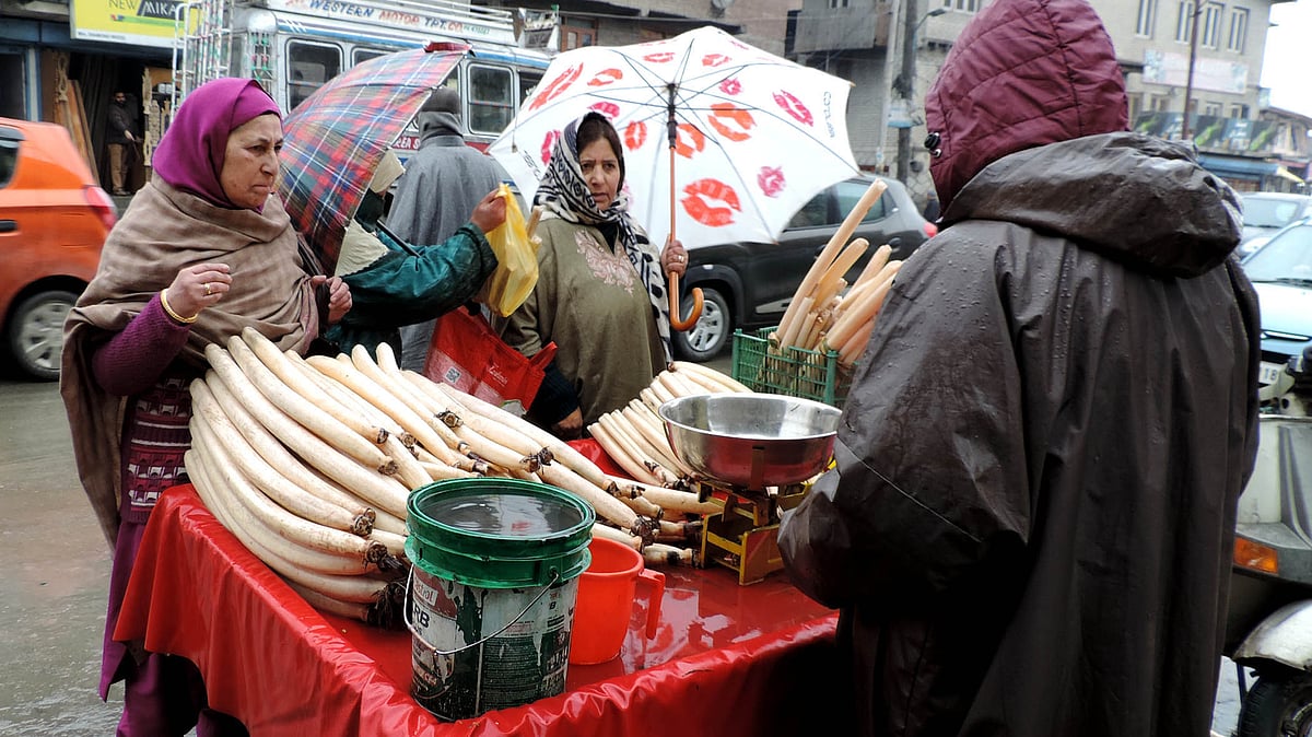 تصویر یو این آئی