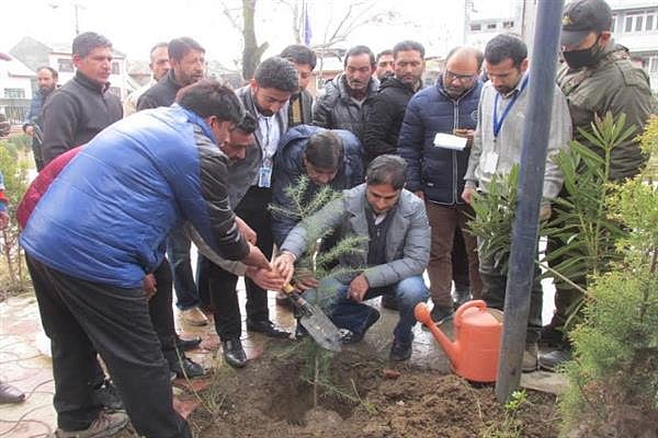 سرینگر: میئر جنید عظیم متو شجرکاری مہم کا آغاز کرتے ہوئے