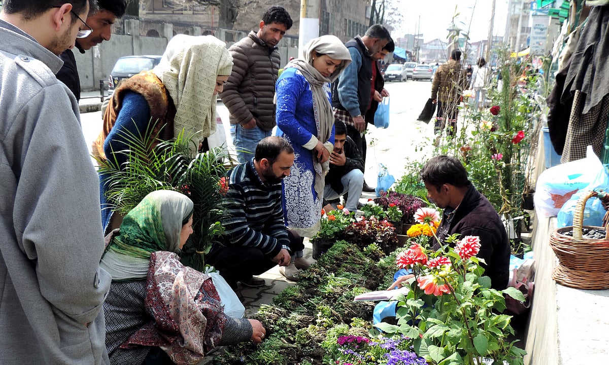 تصویر یو این آئی