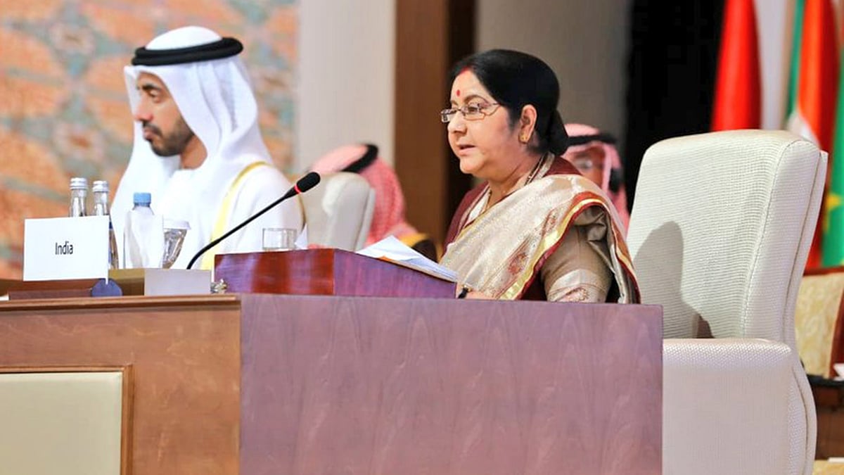 تصویر سوشل میڈیا / <a href="https://twitter.com/MEAIndia">@MEAIndia</a>