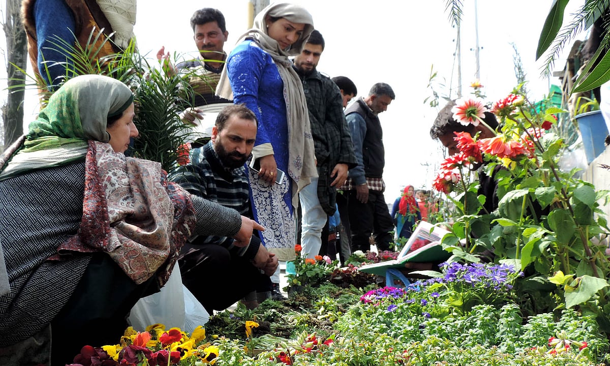 وادی کشمیر میں موسم بہار کے تہوار ’نوروز‘ کی تقریبات، شجرکاری مہم کا آغاز