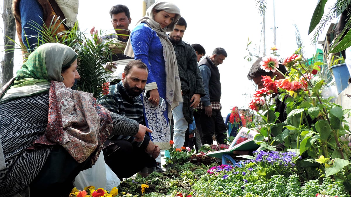 تصویر یو این آئی