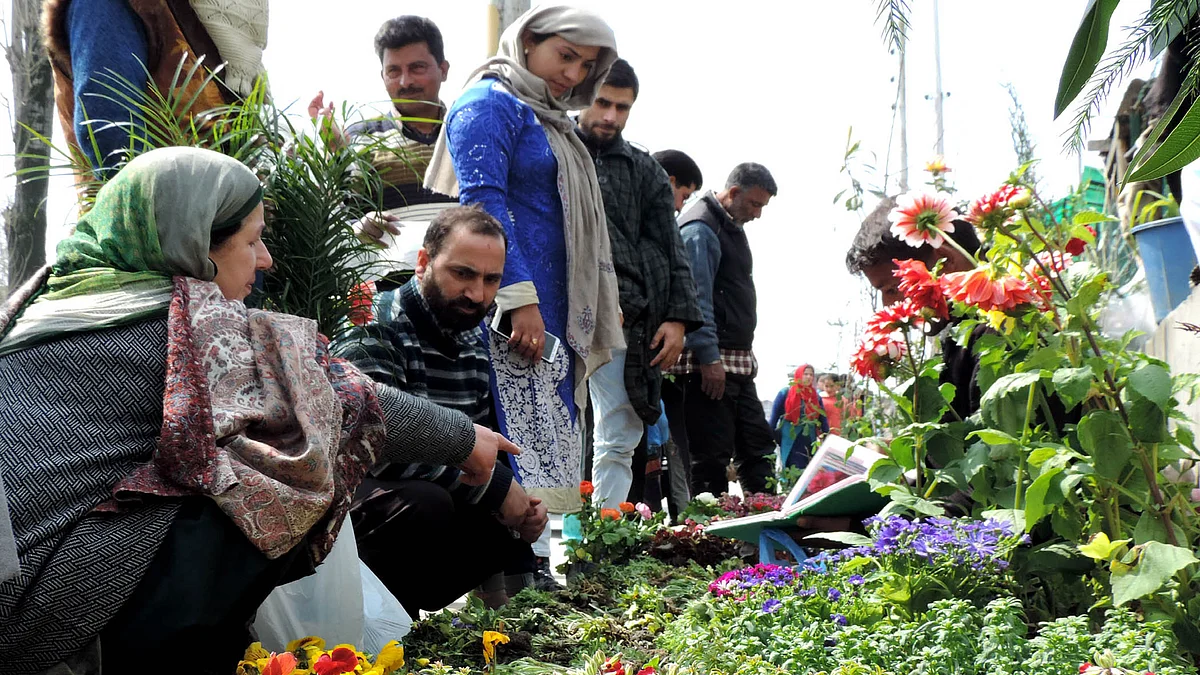تصویر یو این آئی