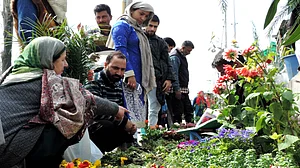 وادی کشمیر میں موسم بہار کے تہوار ’نوروز‘ کی تقریبات، شجرکاری مہم کا آغاز