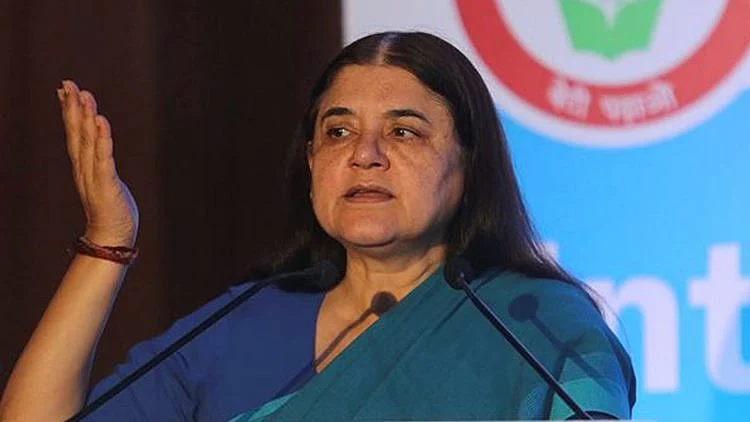 سوشل میڈیا 