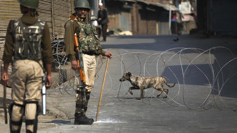 سری نگر: آوارہ کتوں کی نس بندی کے لئے 10 مراکز قائم ہوں گے