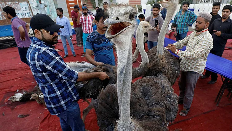 تصویر سوشل میڈیا