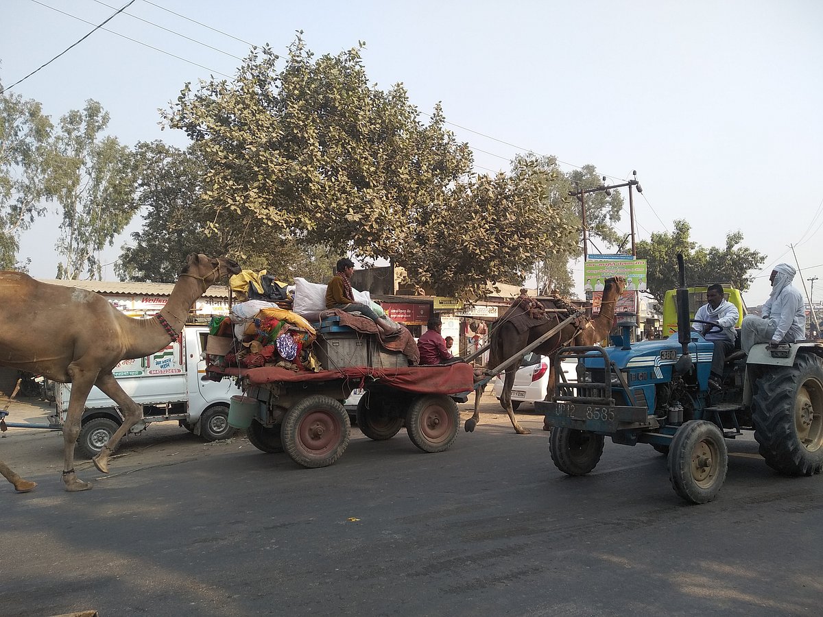 مظفر نگر میں 2 ہزار کسانوں کے اکاؤنٹ سے ’سمّان ندھی‘ کی رقم غائب
