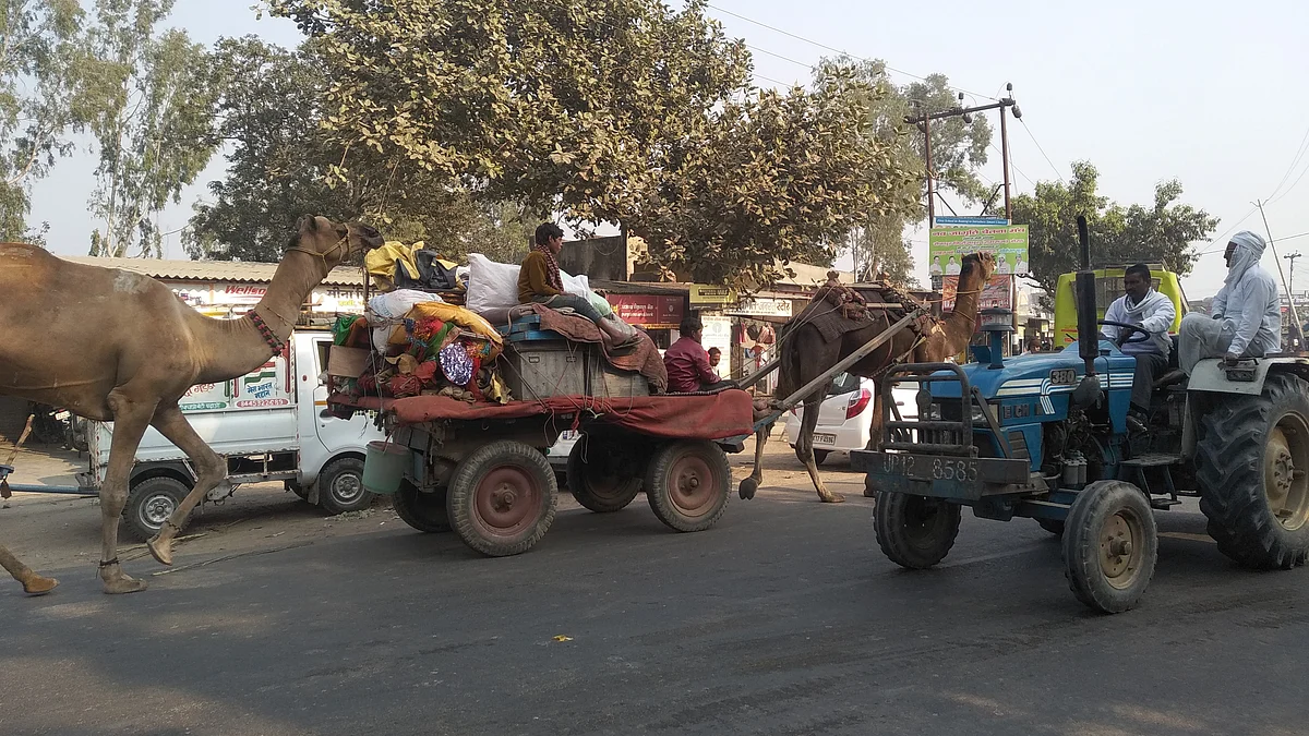 تصویر آس محمد