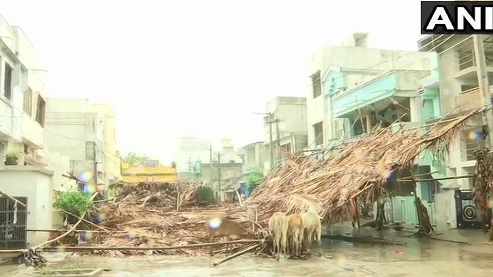 اڈیشہ میں 250 کلو میٹر فی گھنٹہ کی رفتار سے ’فانی‘ نے مچائی تباہی... تصویری جھلکیاں