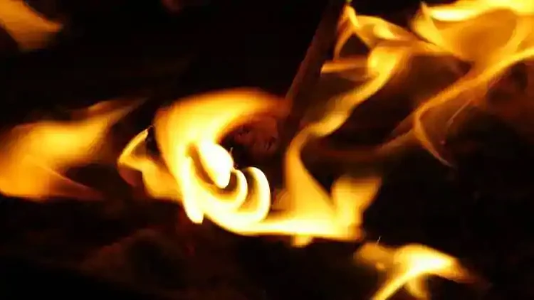 تصویر سوشل میڈیا