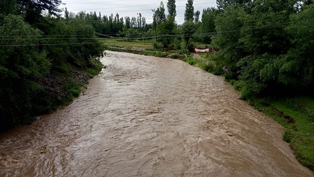 تصویر سوشل میڈیا