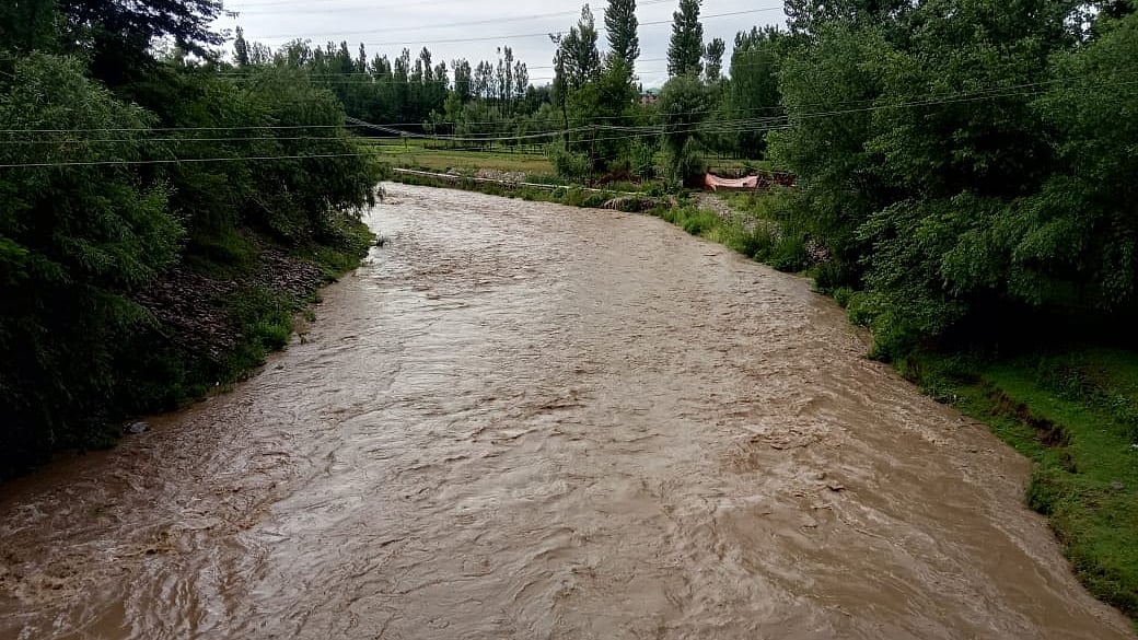 تصویر سوشل میڈیا