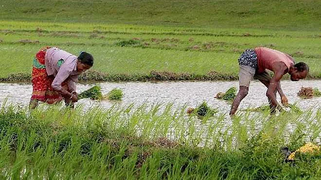 تصویر سوشل میڈیا