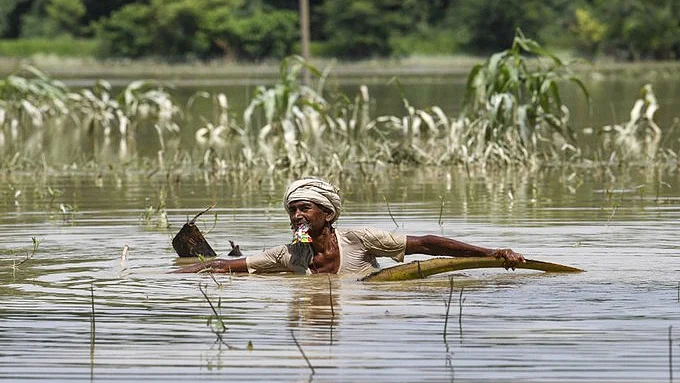 تصویر سوشل میڈیا